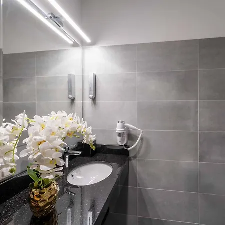 アパートホテル Plaza 4*